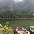 Gruenstein029.jpg