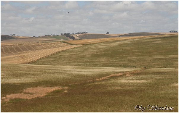 Suedafrika424.jpg