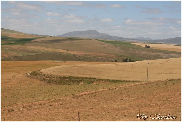 Suedafrika425.jpg