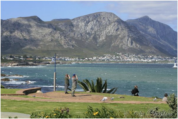 Suedafrika427.jpg