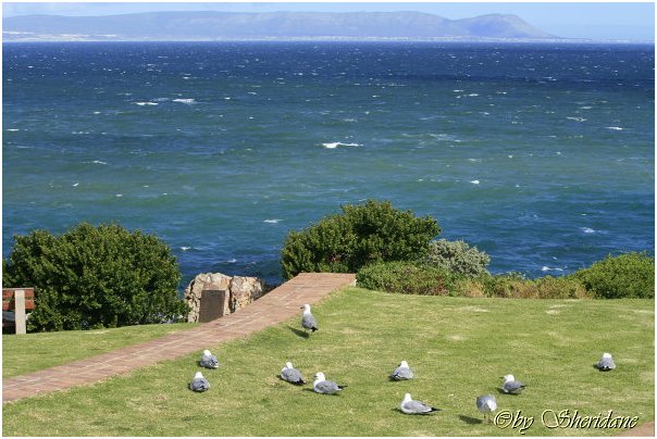 Suedafrika428.jpg