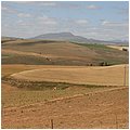Suedafrika425.jpg