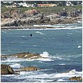 Suedafrika429.jpg