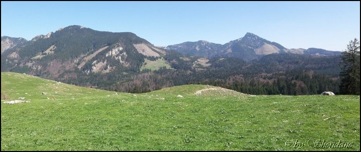 Heuberg017.jpg