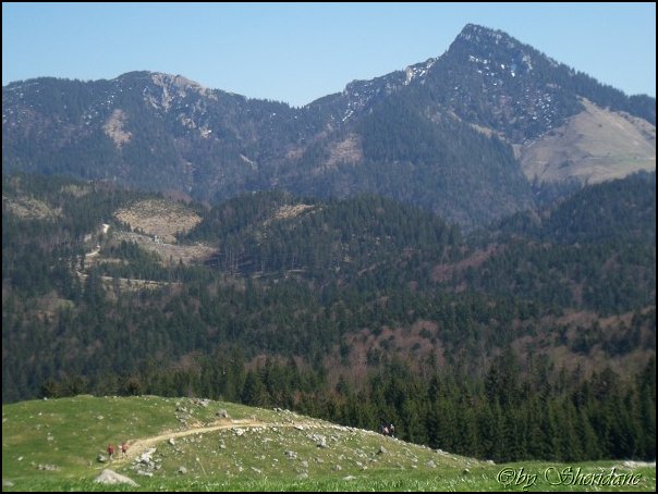 Heuberg018.jpg
