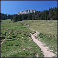 Heuberg016.jpg