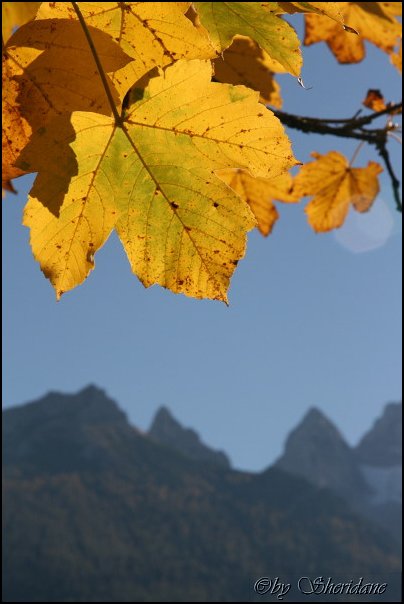 Hintersee005.jpg