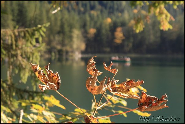Hintersee012.jpg