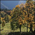 Hintersee004.jpg
