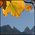 Hintersee005.jpg