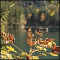 Hintersee012.jpg