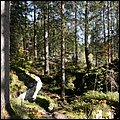 Hintersee015.jpg