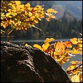 Hintersee017.jpg