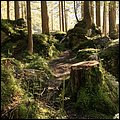 Hintersee019.jpg