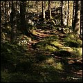 Hintersee021.jpg
