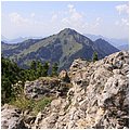 Hochfelln029.jpg