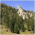 Hochfelln046.jpg