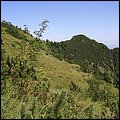 Hochfelln012.jpg