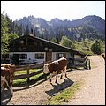 Hochfelln039.jpg