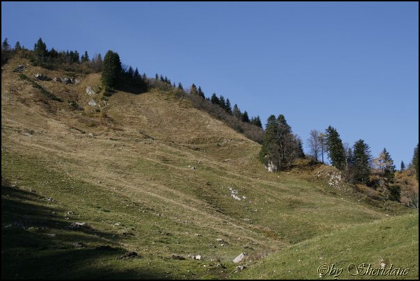 Hochplatte009.jpg