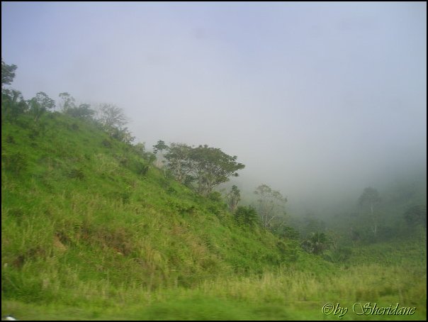 Honduras002.jpg
