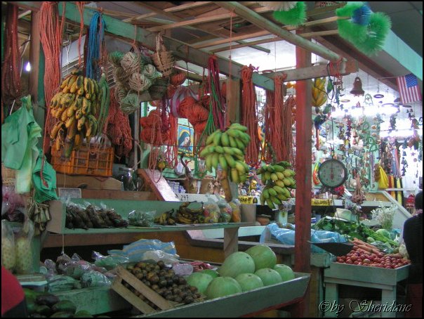 Honduras007_2.jpg