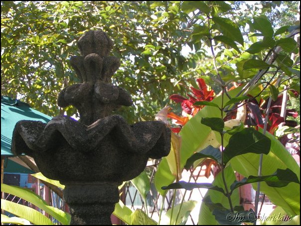 Honduras007_8.jpg