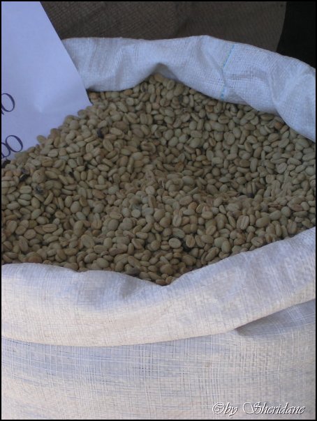 Honduras023.jpg