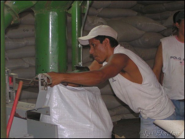Honduras026.jpg