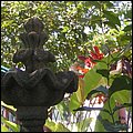 Honduras007_8.jpg