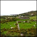 Irland067.jpg