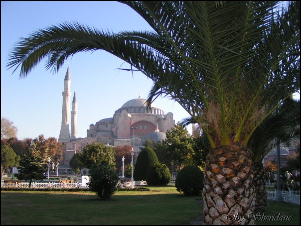 Istanbul067.jpg