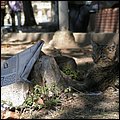 Istanbul096.jpg