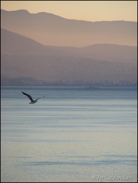 Izmir002.jpg