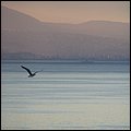 Izmir002.jpg