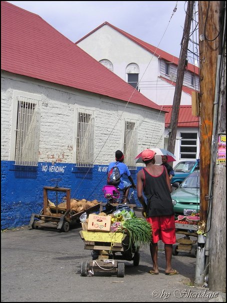 Jamaika014.jpg