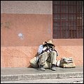 Jamaika016.jpg