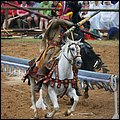 Kaltenberg076.jpg