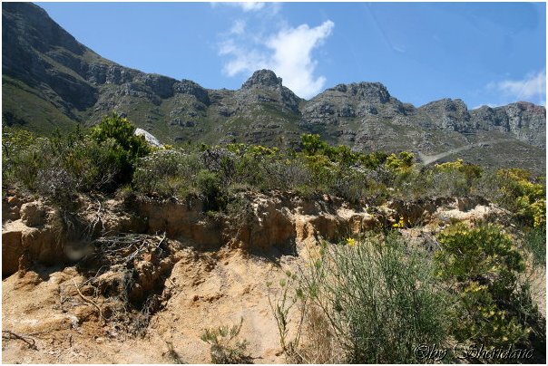 Suedafrika060.jpg