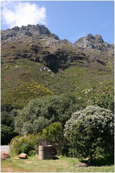 Suedafrika063.jpg