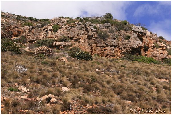 Suedafrika068.jpg