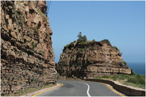 Suedafrika069.jpg