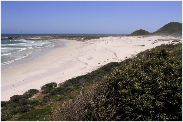 Suedafrika072.jpg