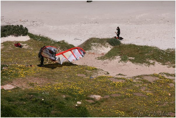 Suedafrika077.jpg