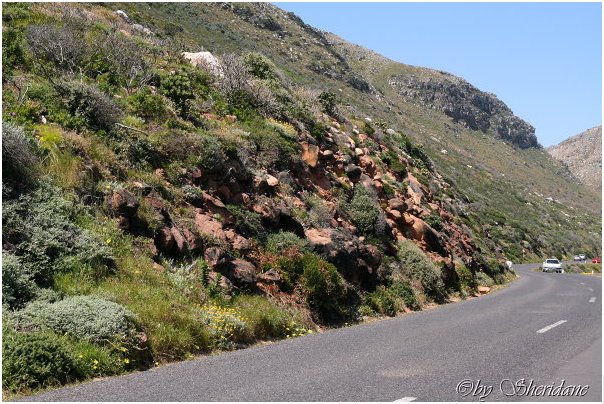 Suedafrika079.jpg