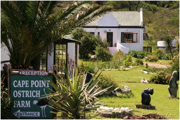 Suedafrika081.jpg