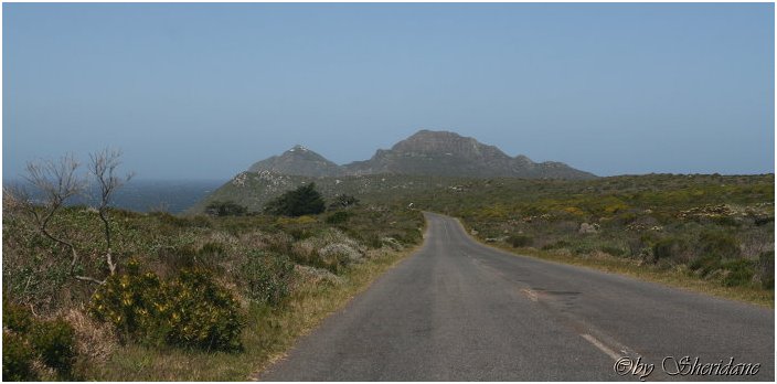 Suedafrika085.jpg