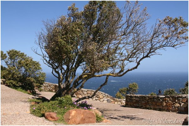 Suedafrika089.jpg