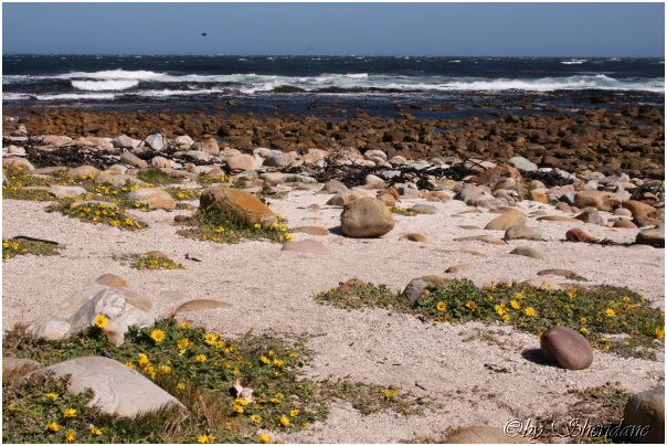 Suedafrika099.jpg