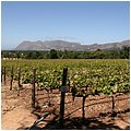Suedafrika054.jpg